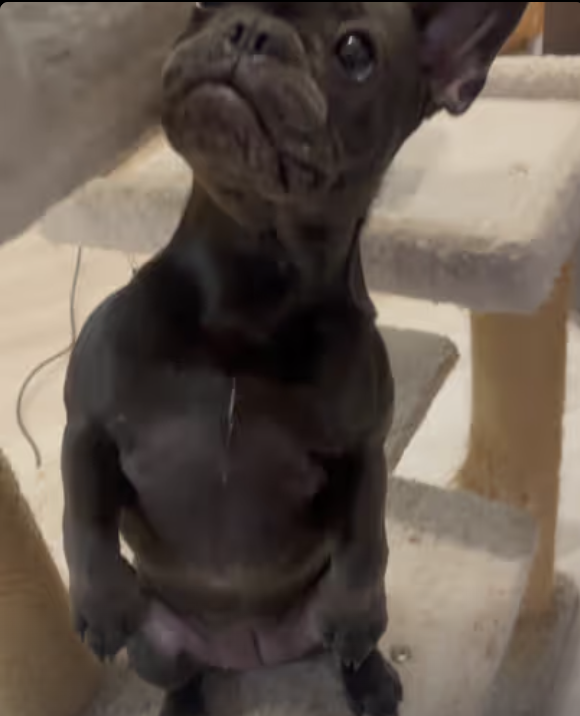 I’m trying to reach the sky! Would you like to do it together with me ???